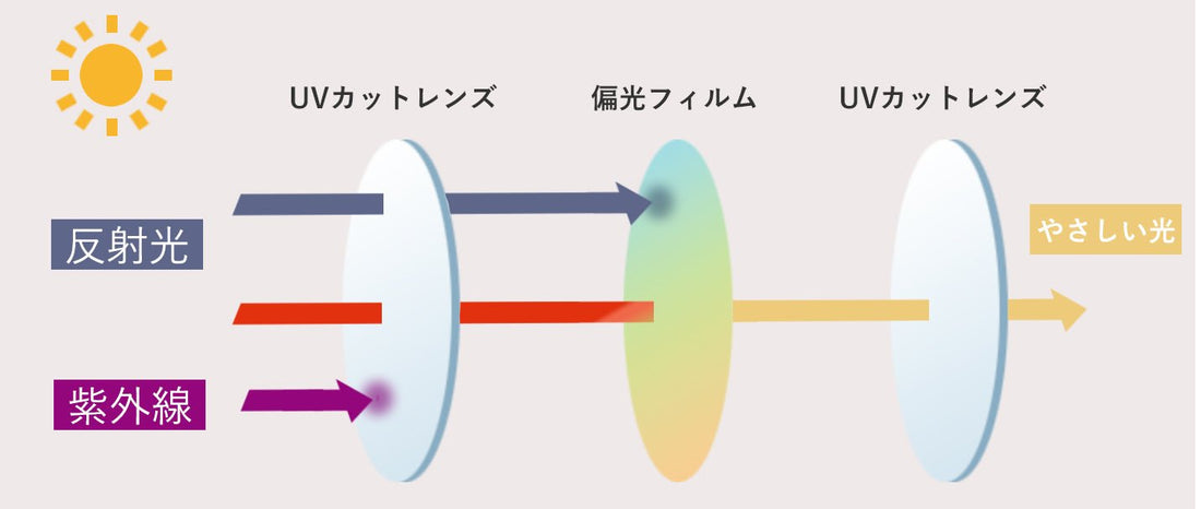 偏光レンズ - ちゃんとメガネ