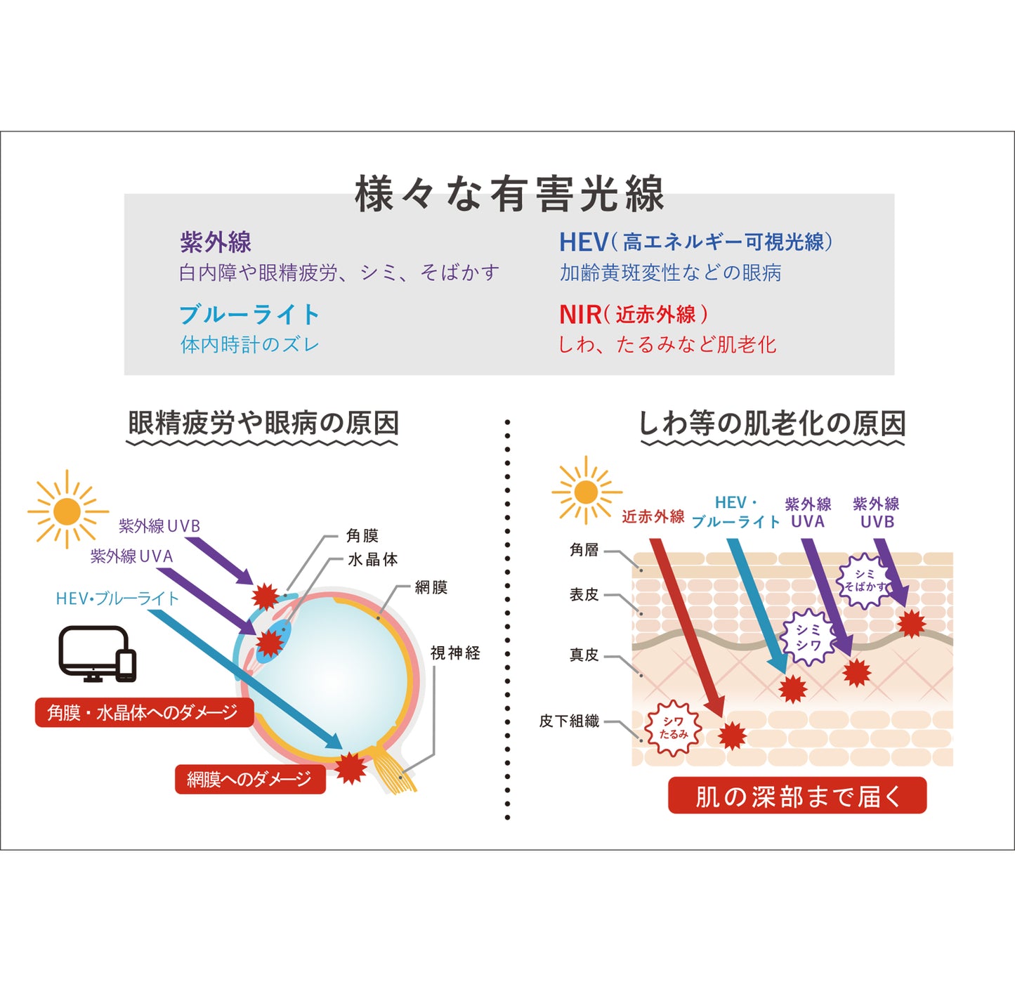 SOLAIZ - ソライズ - “1秒でできる エイジングケア”サングラス