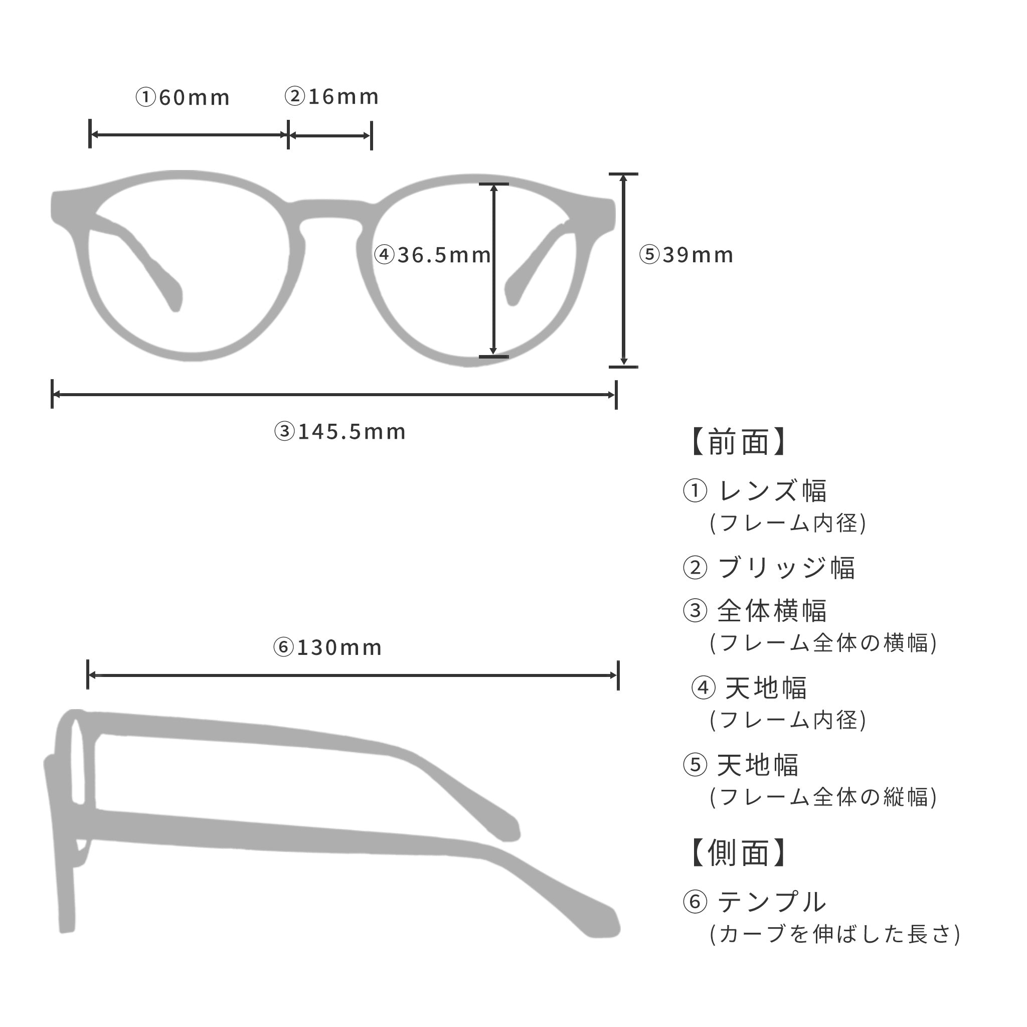 【受注生産】度なし偏光サングラス RARTS - アーツ - ROAR［ロア］ RS104-GMT
